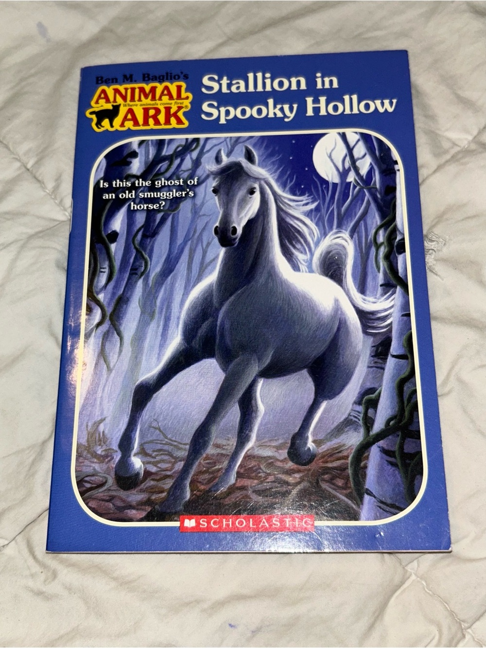 Animal Ark, Stallion in Spooky Hollow by Ben M. Baglio, Paperback, 2007